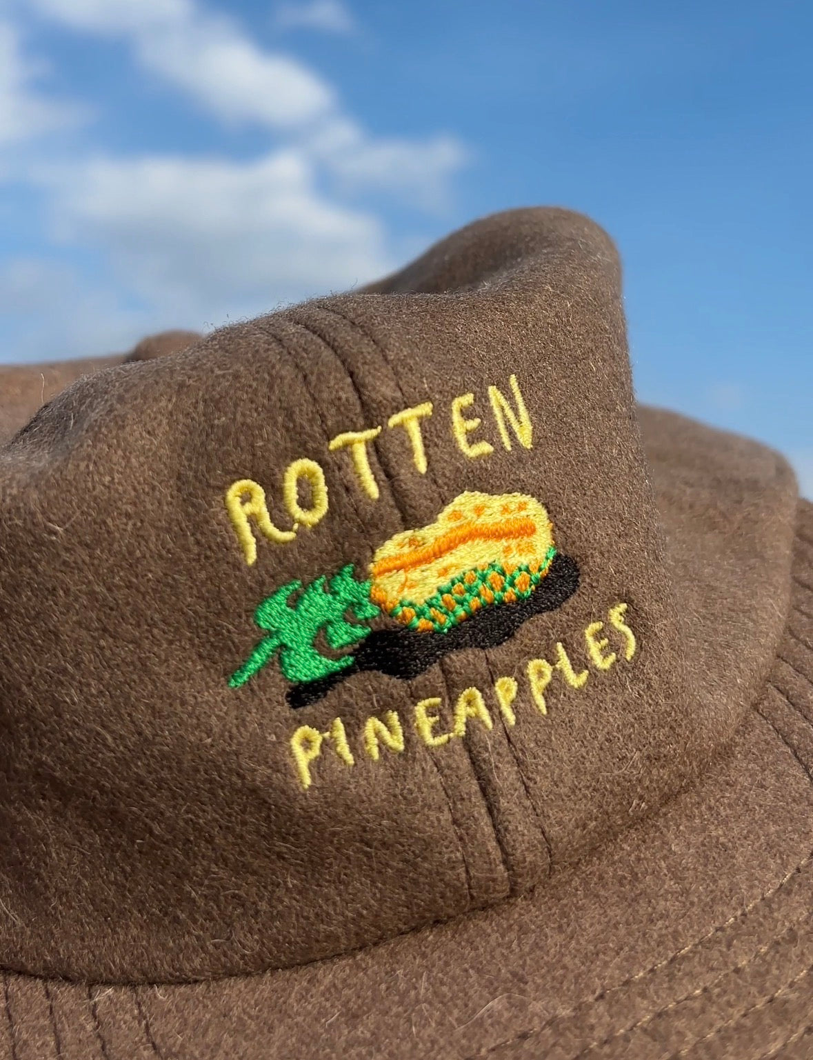 "ROTTEN PINEAPPLES" cap (walnut wool)