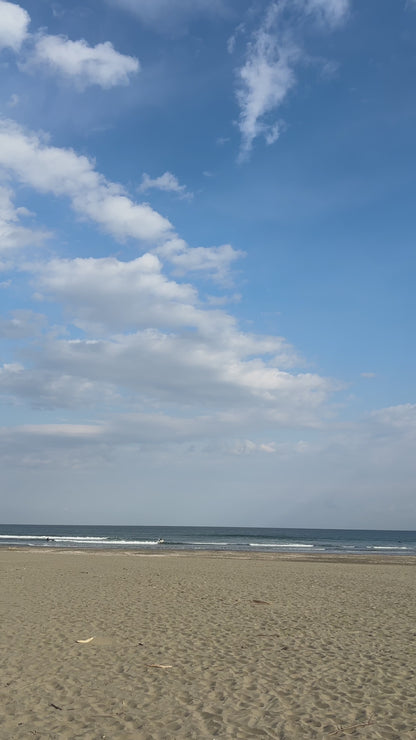 "ROTTEN PINEAPPLES" cap (walnut wool)